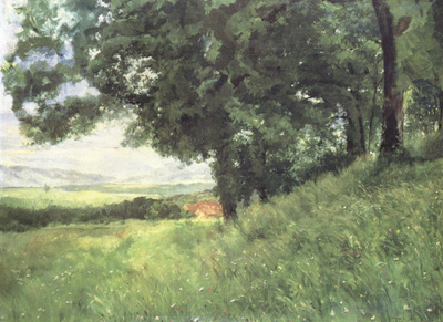 Summer Landscape (nn02)